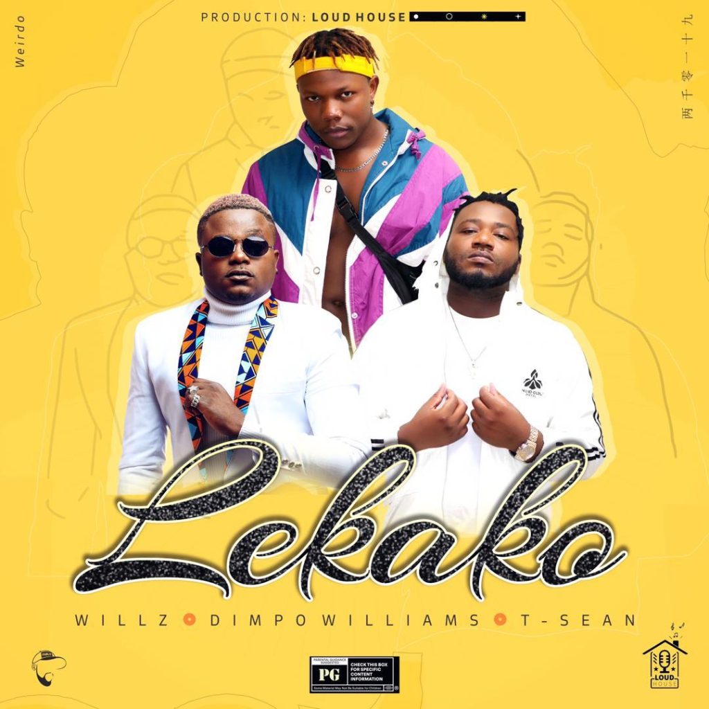 Willz Nyopole ft. Dimpo Williams & T-Sean - Lekako Mp3