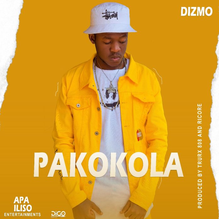 DOWNLOAD: Dizmo - "Pakokola" Mp3