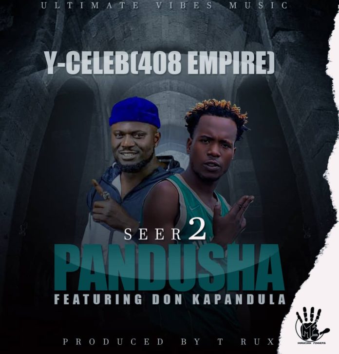 Download Y-Celeb ft. Don Kapandula - Seer 2 Pandusha Mp3