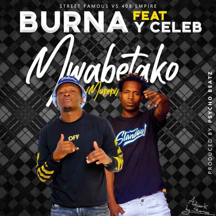 DOWNLOAD Burna ft. Y Celeb - "Mwabetako Mupepi" Mp3