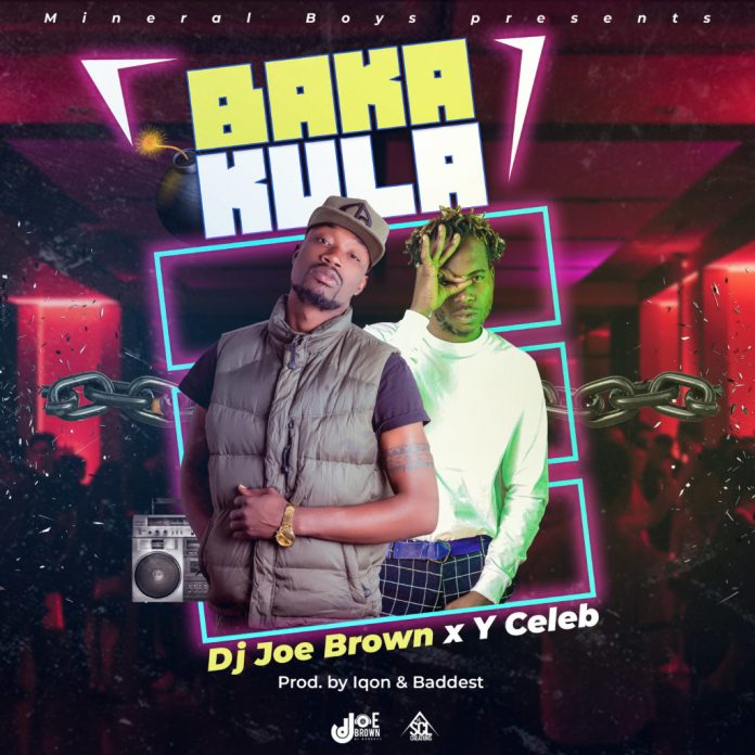 DOWNLOAD Y Celeb X Dj Joe Brown - “Bakakula” Mp3