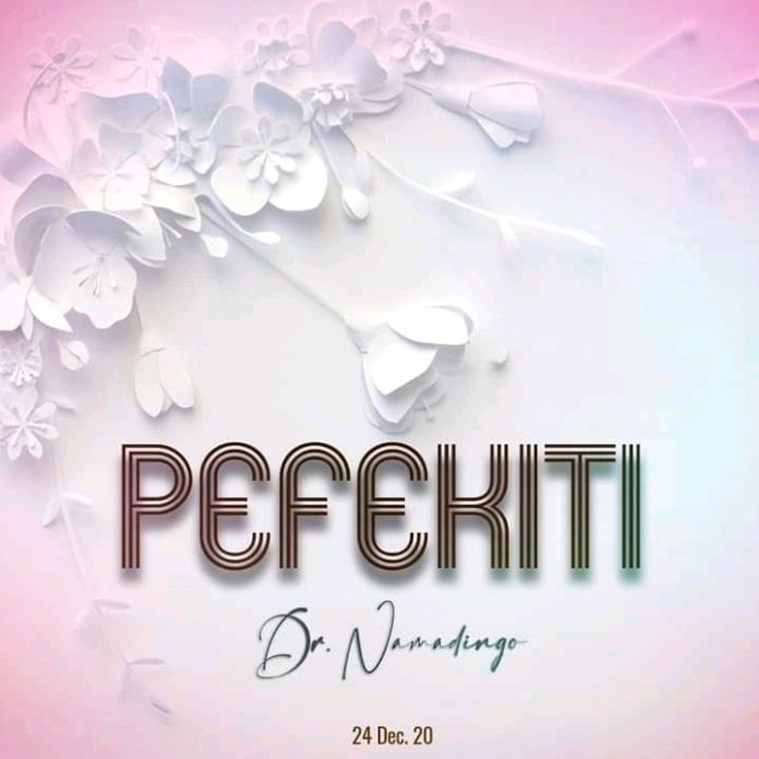 DOWNLOAD Patience Namadingo – “Pefekiti” Mp3 (Official Audio)