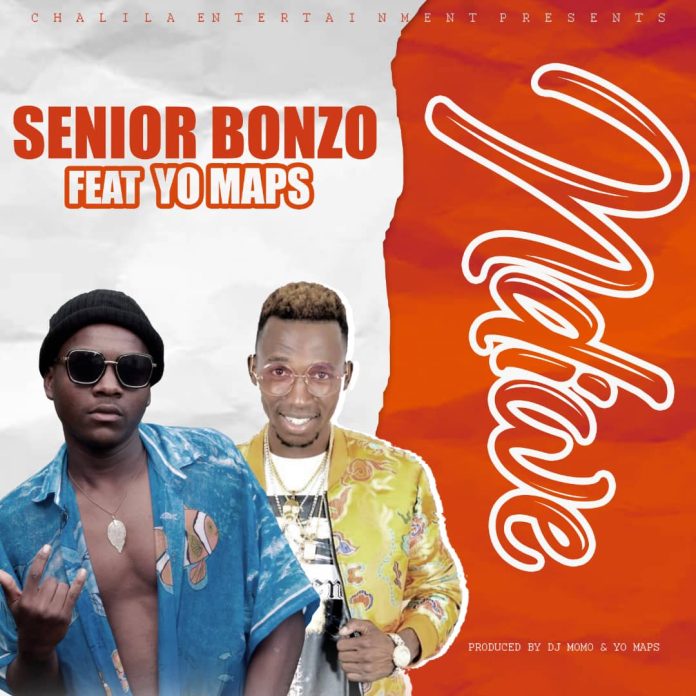 Senior Bonzo ft Yo Maps - Ndiwe | MP3 DOWNLOAD