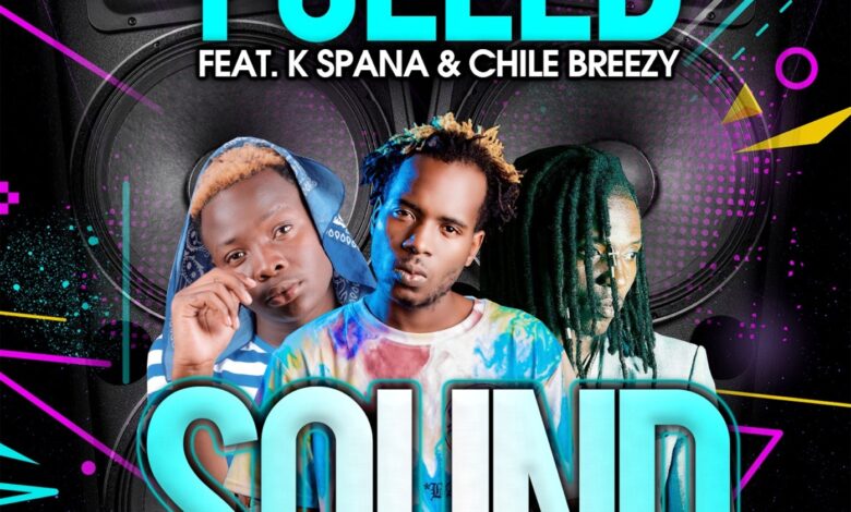 DOWNLOAD Mp3 Y Celeb Ft K Spanna & Chile Breezy - "Sound"