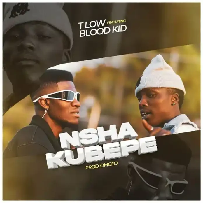 DOWNLOAD T-Low feat Bloodkid Y.V.O.K - Nshakubepe (Official Video) Mp3